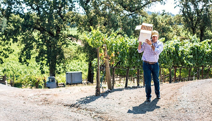 KimCarroll.com- WineDirect-86 - NEW.jpg